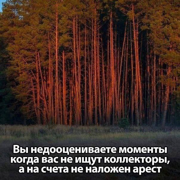 Вы недооцениваете моменты когда вас не ищут коллекторы, ана счета не наложен арест