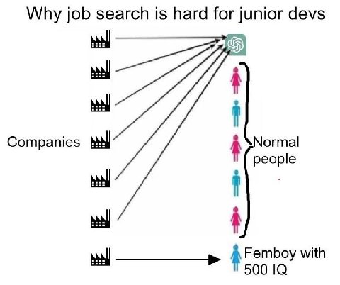 Why job search is hard for junior devs Companies Normal people i Femboy with