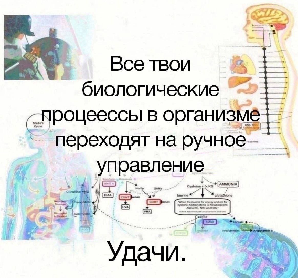 4) Все твои биологические _процеессы в организме переходят на ручное управление Удачи