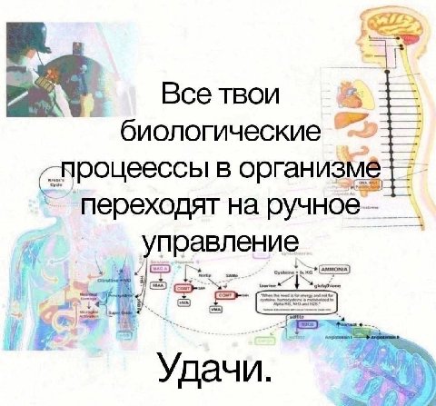 4) Все твои биологические _процеессы в организме переходят на ручное управление Удачи