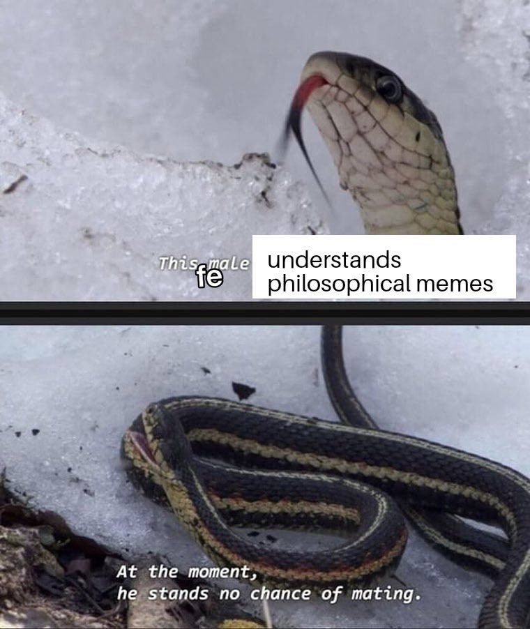 This,male understands philosophical memes At the moment he stands no chance of mating