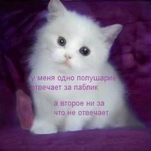меня одно полу за паблик apoe ни за OF