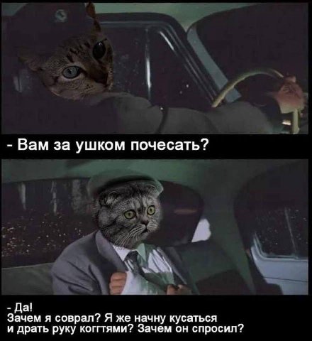 Вам за ушком почесать? Да! Зачем я соврал? Я же начну кусаться и драть руку коггтями? Зачем он спросил?