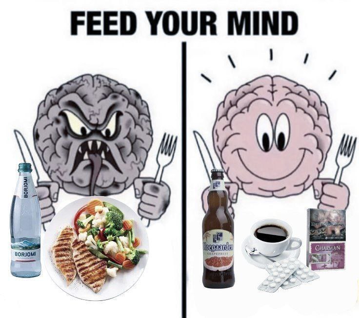 FEED YOUR MIND BORJOME