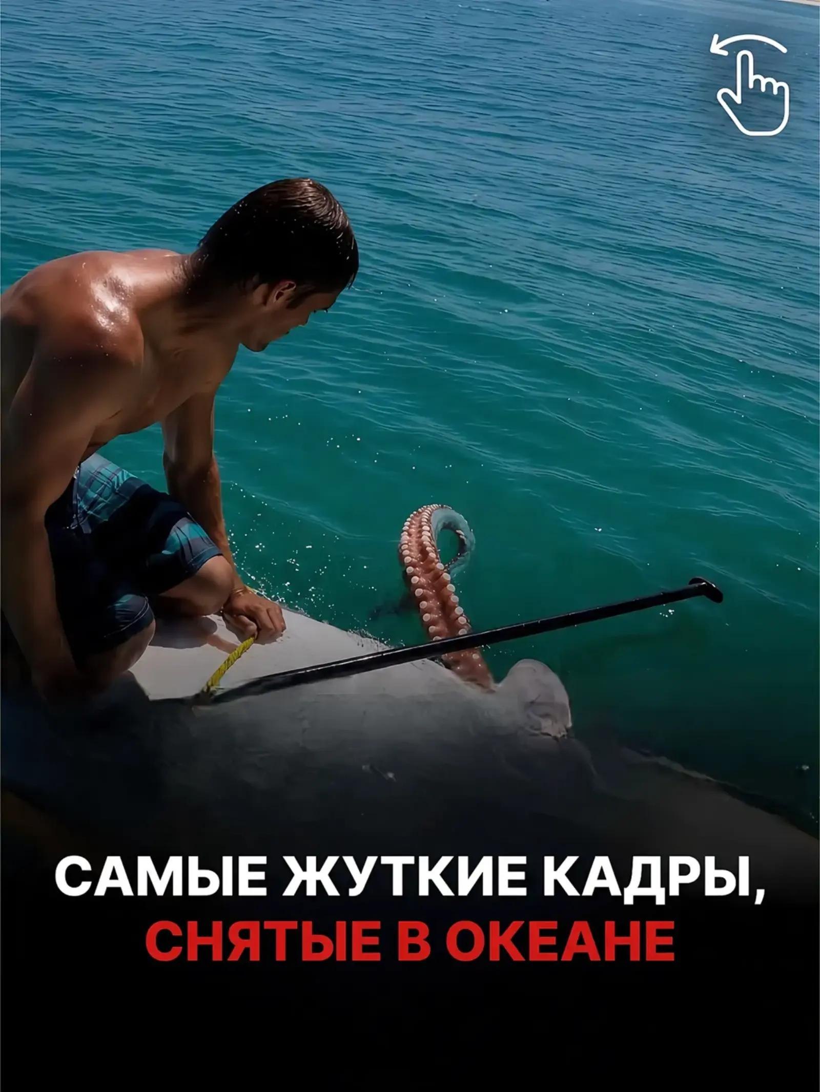 САМЫЕ ЖУТКИЕ КАДРЫ, СНЯТЫЕ В ОКЕАНЕ