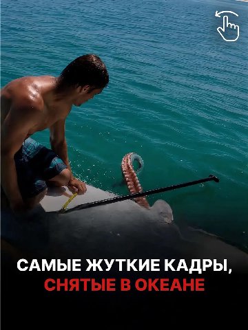 САМЫЕ ЖУТКИЕ КАДРЫ, СНЯТЫЕ В ОКЕАНЕ