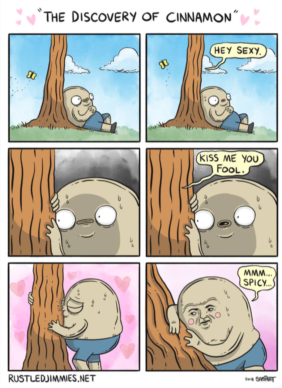 “THE DISCOVERY OF CINNAMON” RUSTLEDJIMMIES МЕТ в