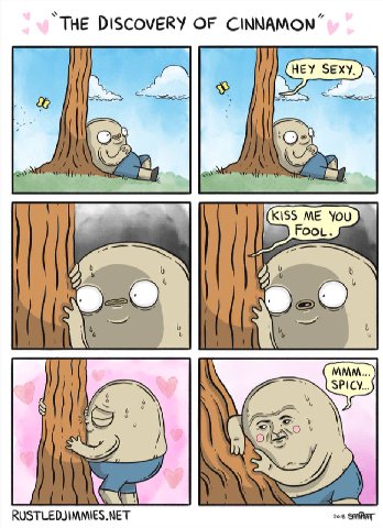 “THE DISCOVERY OF CINNAMON” RUSTLEDJIMMIES МЕТ в
