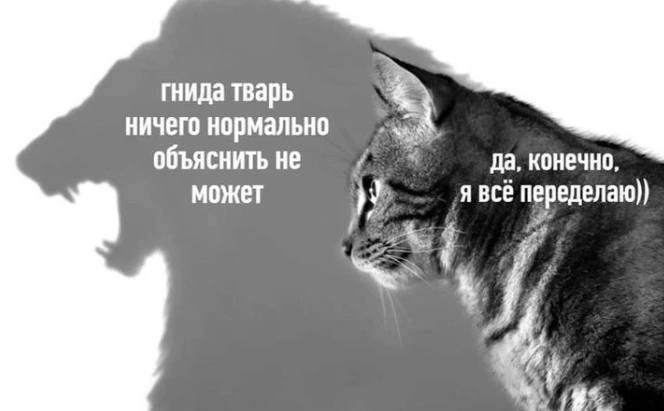 гнида тварь ничего нормально объяснить не да, конечно, может Я ВСё
