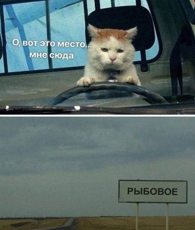 у О, вот это место...„.. мне сюда