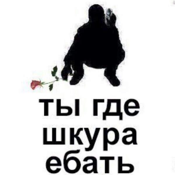 ты где шкура ебать