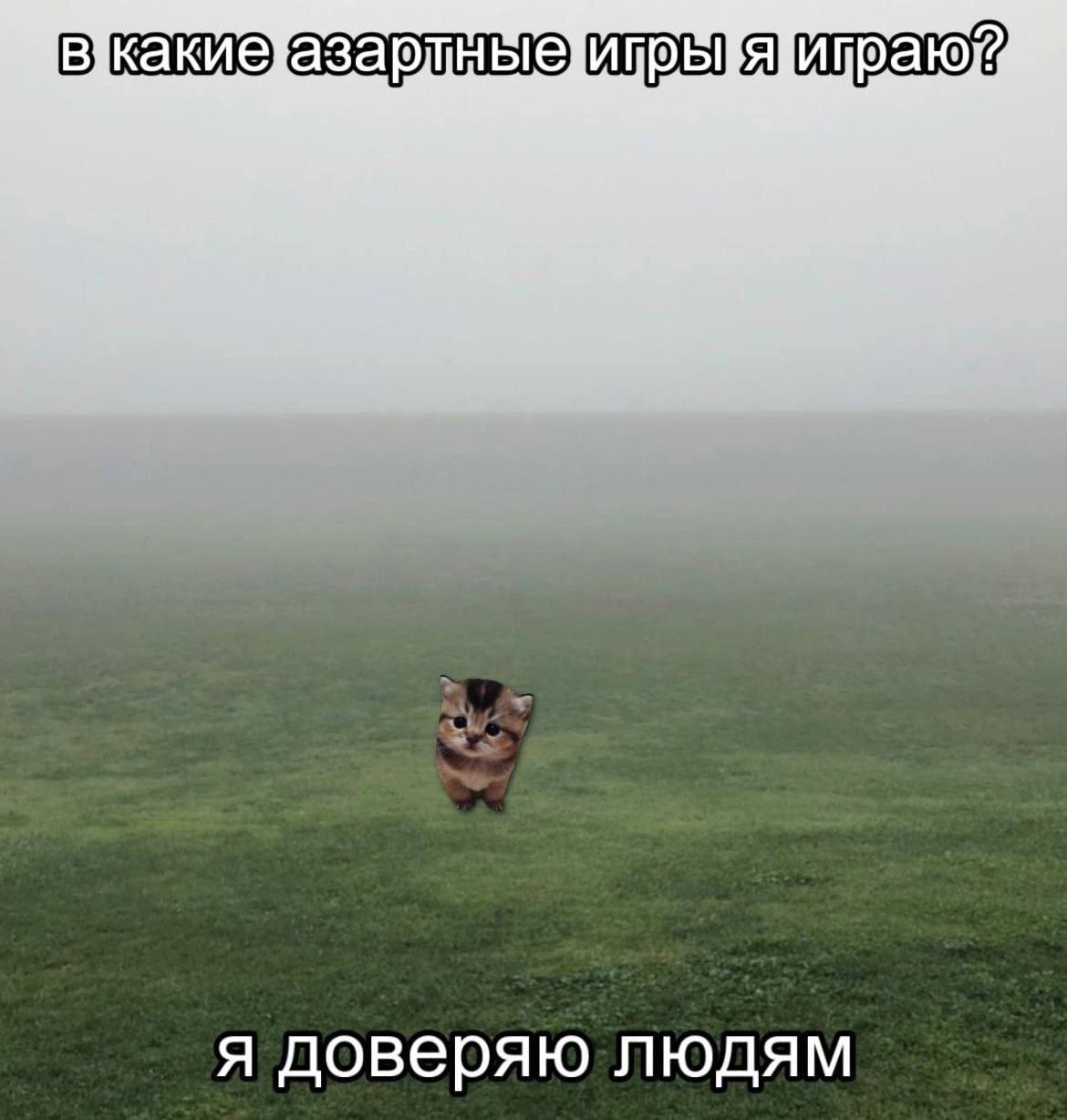 я доверяю людям