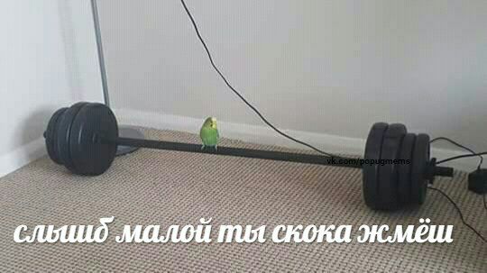 А