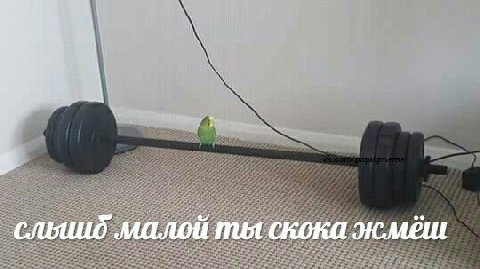 А