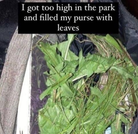 I got too high in the park and filled my purse with leave A a
