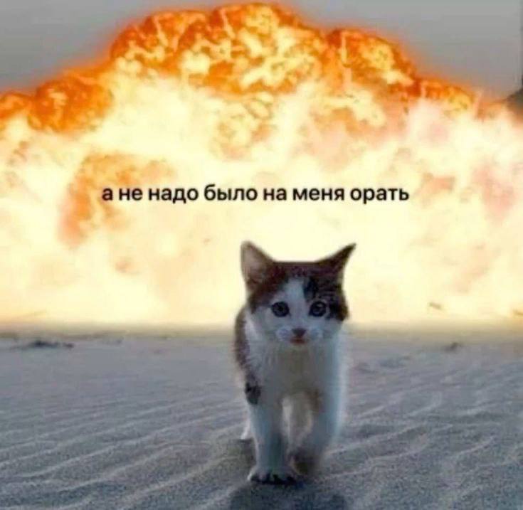 ане надо было на меня орать