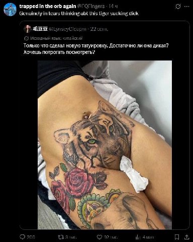 trapped in the orb again @FOFingers 14 5 Genuinely tears thinking abt this tiger sucking dick 3699 22 сент. Исходный язык: китайский Только что сделал новую татуировку. Достаточно ли она дикая? Хочешь