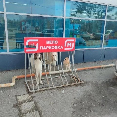 ВЕЛО ПАРКОВКА