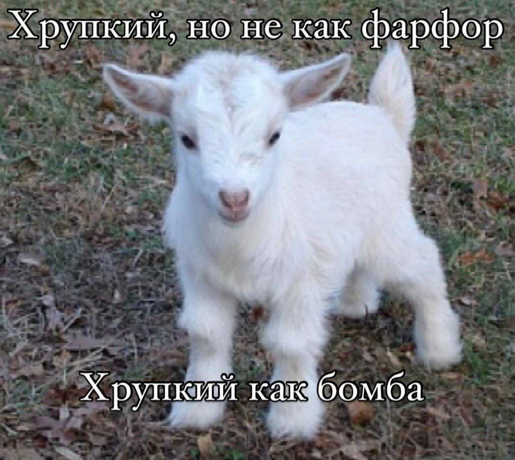 Хрупкий, но не как фарфор Хрупкйй как бомба