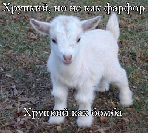 Хрупкий, но не как фарфор Хрупкйй как бомба
