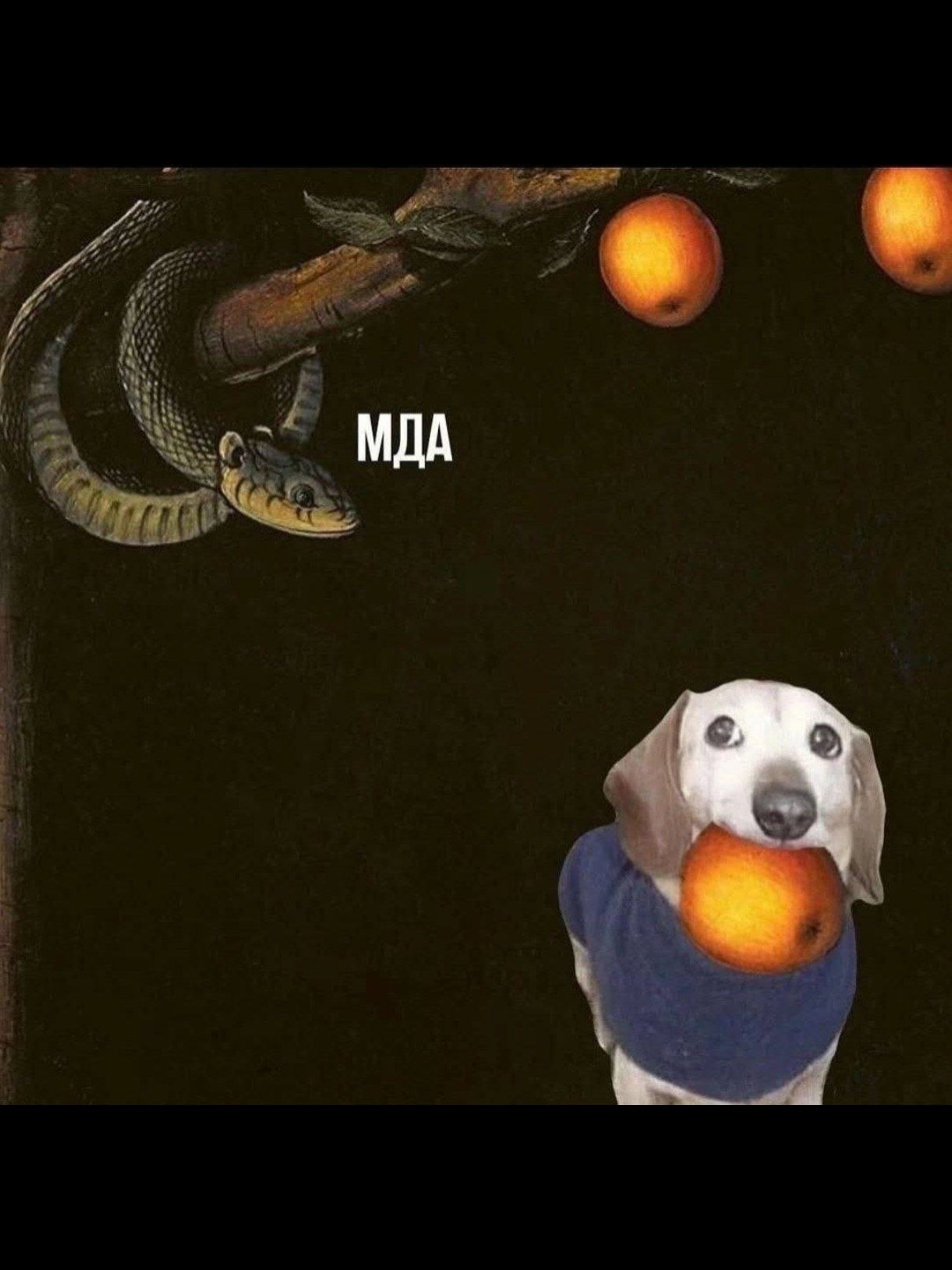 МДА