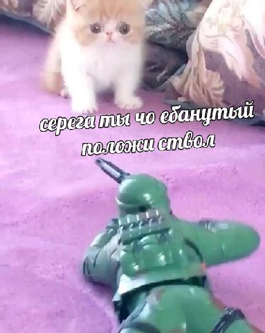 серега ты че ебанутый положи ствол