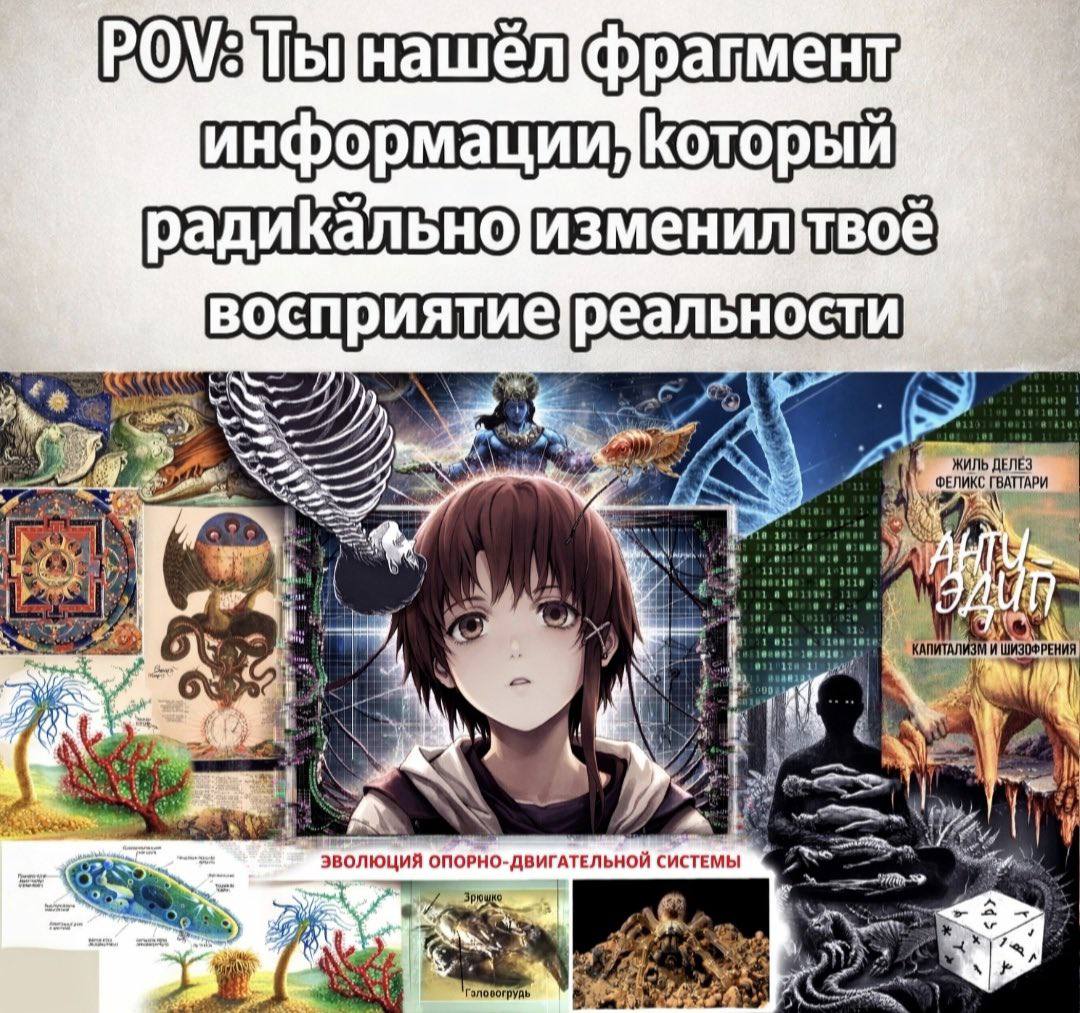 фрагмент информации Который К 4] у ЭВОЛЮЦИЯ ОПОРНО-ДВИГАТЕЛЬНОЙ СИСТЕМЫ я