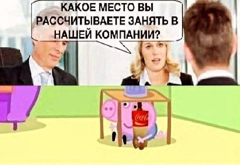 КАКОЕ МЕСТО ВЫ АССЧИТЫВАЕТЕ ЗАНЯТЬ В НАШЕЙ КОМПАНИИ?