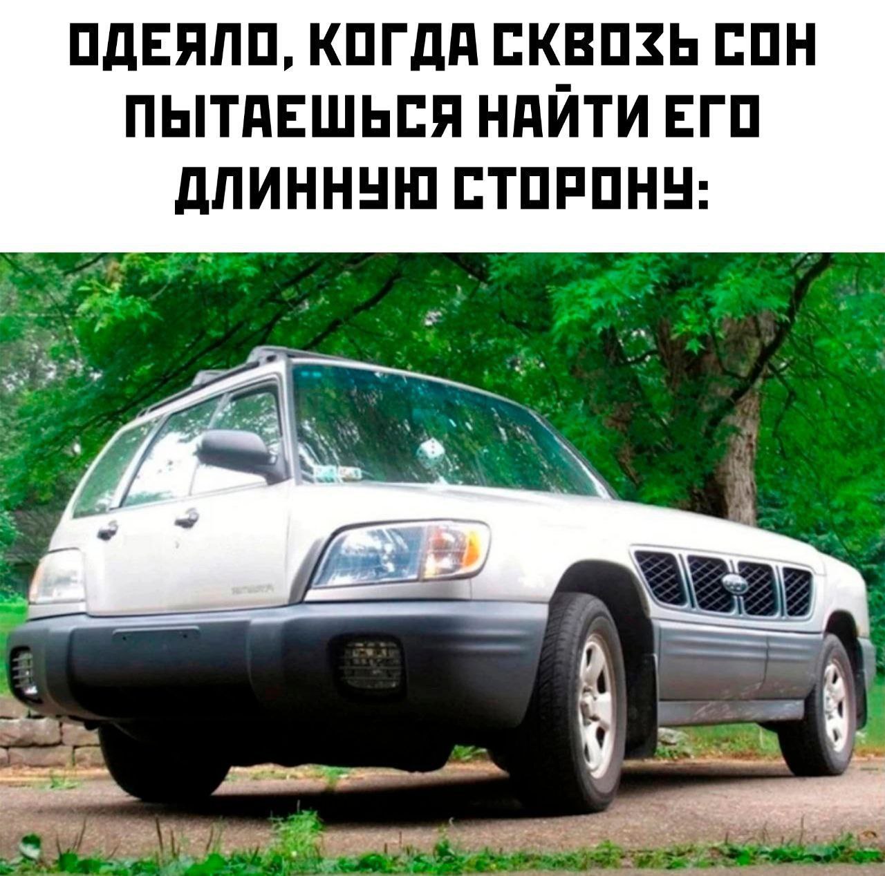 ОДЕЯЛО, КОГДА СКВОЗЬ СОН ПЫТАЕШЬСЯ НАИТИ ЕГО ДЛИННУЮ СТОРОНУ: