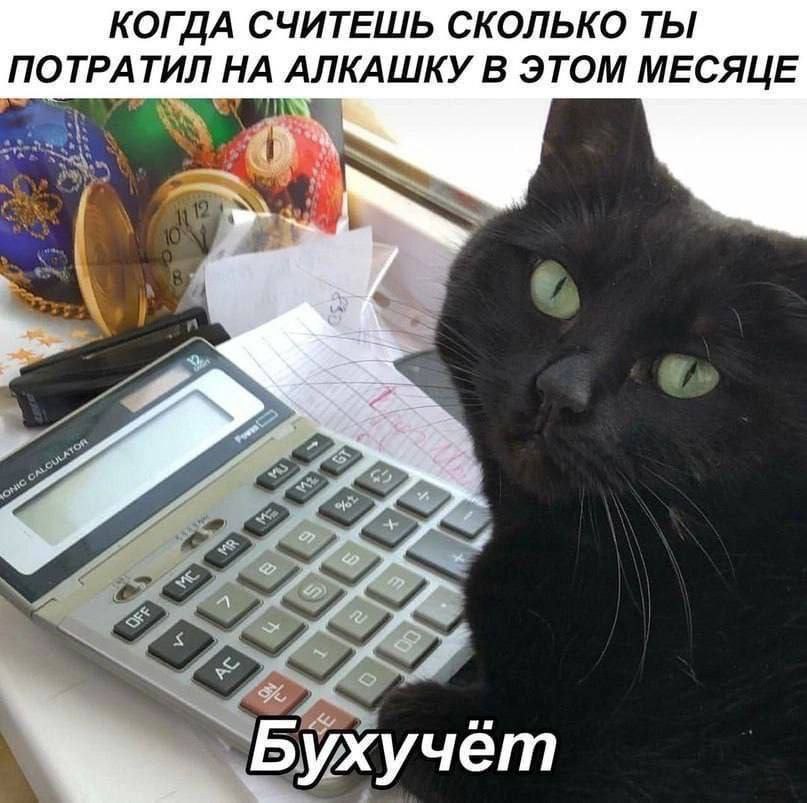 КОГДА СЧИТЕШЬ СКОЛЬКО ТЫ ПОТРАТИЛ НА АЛКАШКУ В ЭТОМ МЕСЯЦЕ Бухучёт