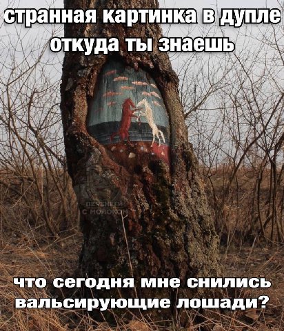 стран! транная картинка В дупле куда ты знаеш У я что сегодня мне снились вальсирующие лошади?