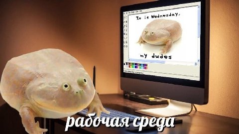 Wednesday У dudes рабочая среда