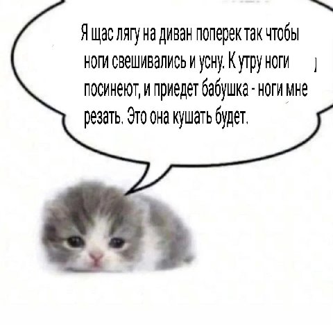 Я щас лягу на диван поперек так чтобы ноги свешивались и усну. Кутрунои посинеют, и приедет бабушка ноги мне резать. Это она кушать будет.