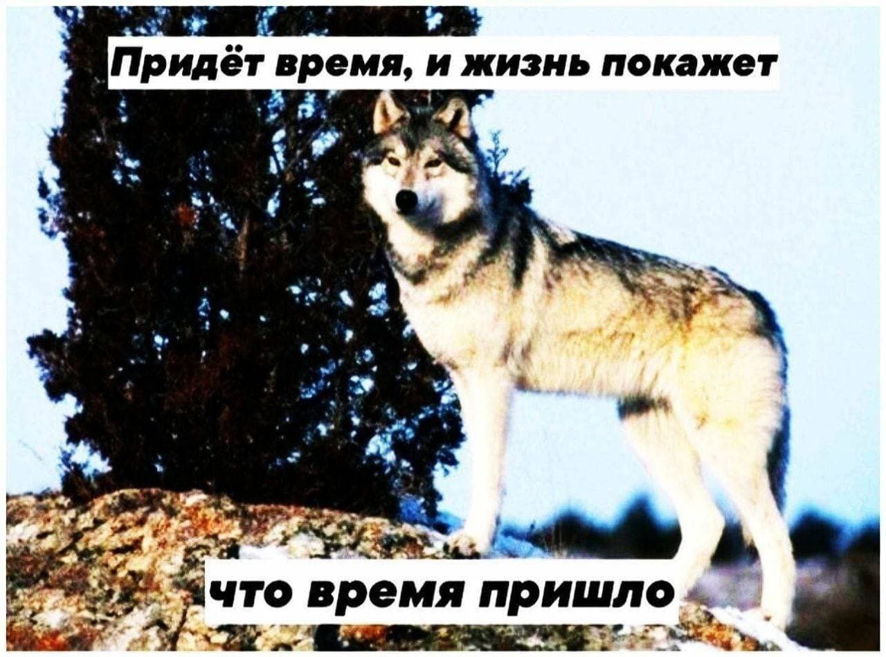 at Придёт время, и жизнь покажет к 4 or~ что время пришло