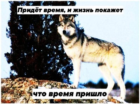 at Придёт время, и жизнь покажет к 4 or~ что время пришло