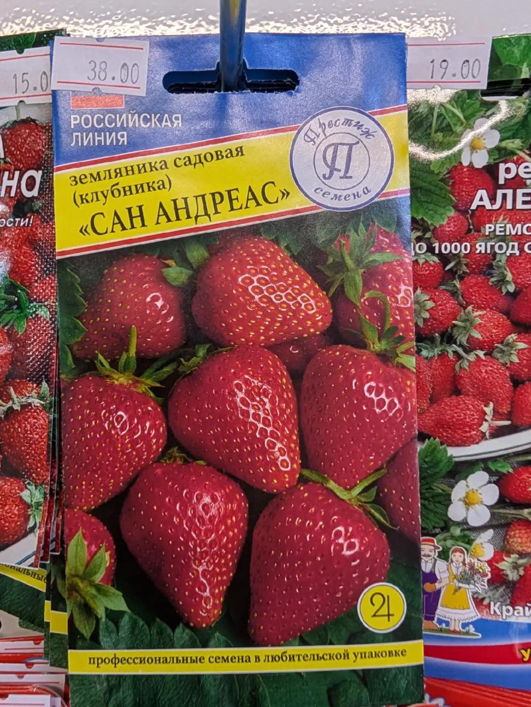 15 0) 8 садовая На С» АЛЕ РЕП REMC {0.1000 Arog 2 у Я ВЫ у ENE A 4 2 malt 4 4 профессиональные семена в любительской упаковке