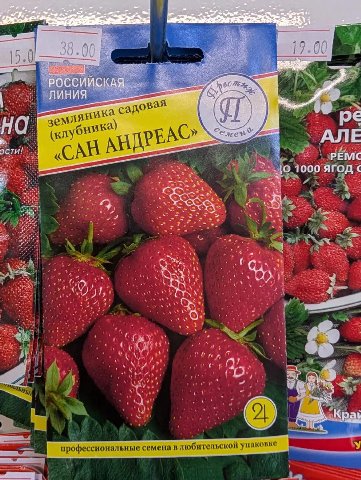 15 0) 8 садовая На С» АЛЕ РЕП REMC {0.1000 Arog 2 у Я ВЫ у ENE A 4 2 malt 4 4 профессиональные семена в любительской упаковке