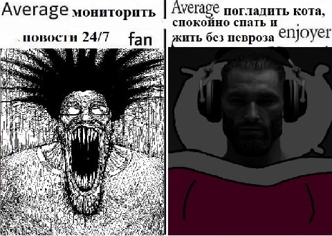 Ауега мониторить погладить кота, спокойно спатьи новости 24/7 fan жить без невроза enjoyel +4