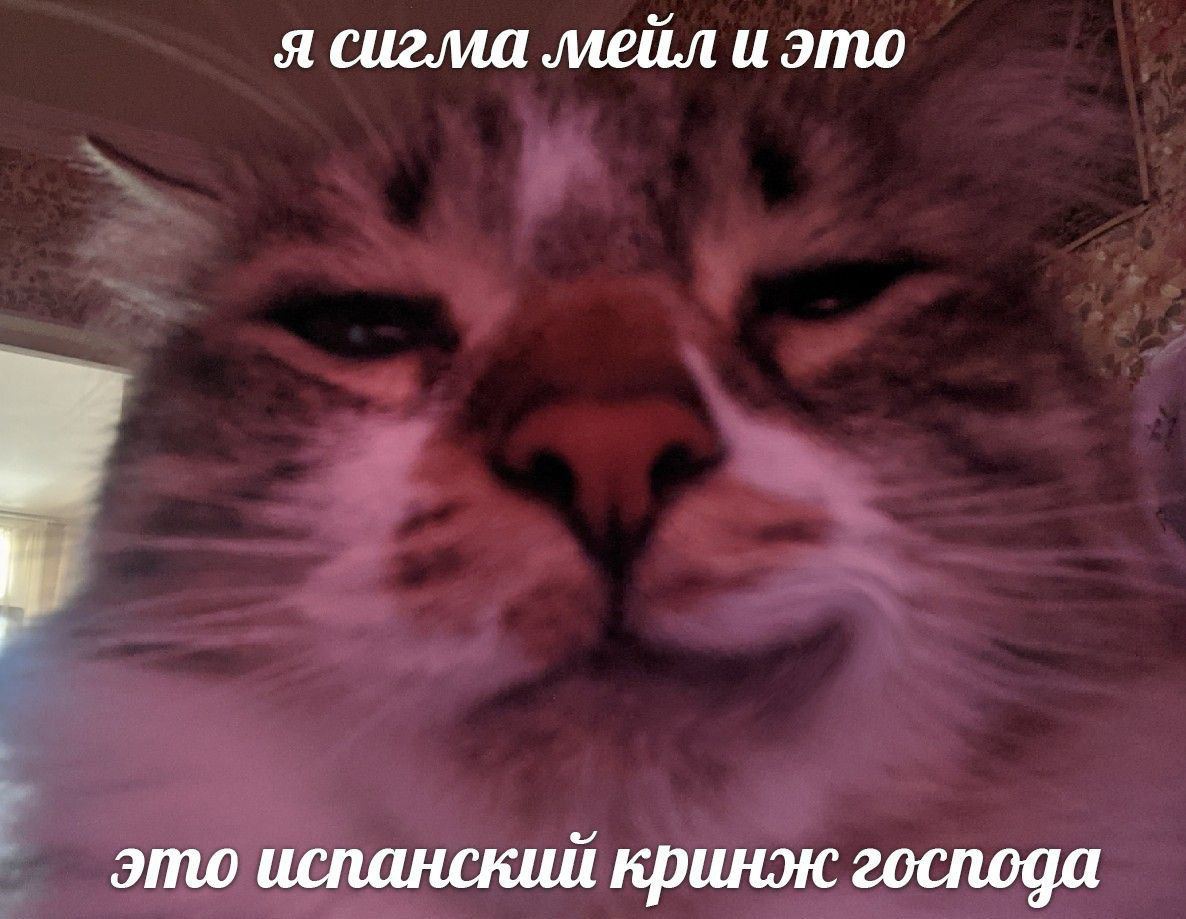 я сигма мейл и это это испанский кринж господа