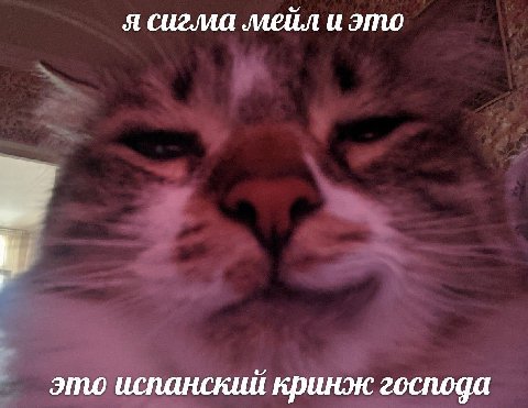 я сигма мейл и это это испанский кринж господа
