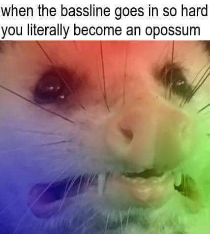 when the bassline goes in so hard you literally become an opossum