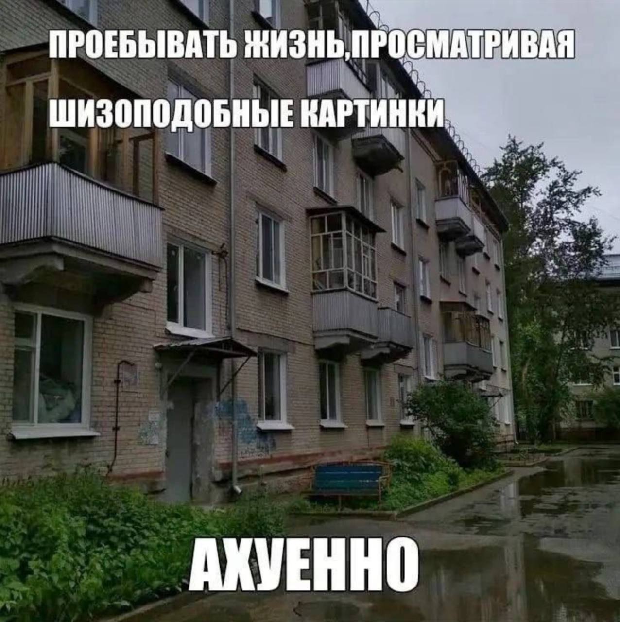 ПРОЕБЫВАТЬ ПРОСМАТРИВАЯ ШИЗОПОДОБНЫЕ КАРТИНКИ АКУЕННО