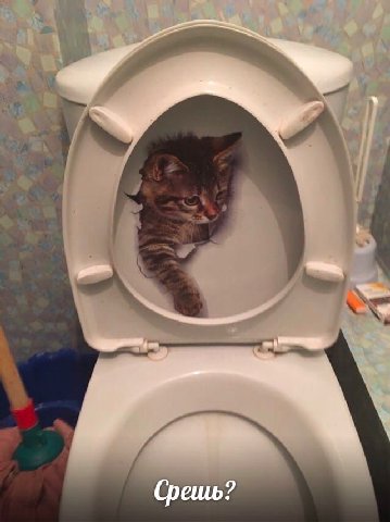 Срешь?