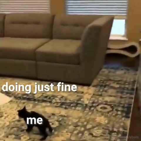 ЧопоизЬ пех — | me fellate istfines=.< =.
