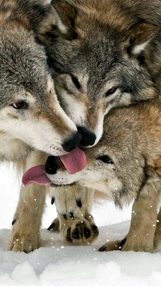 и. у a 4 у у 4 у у В
