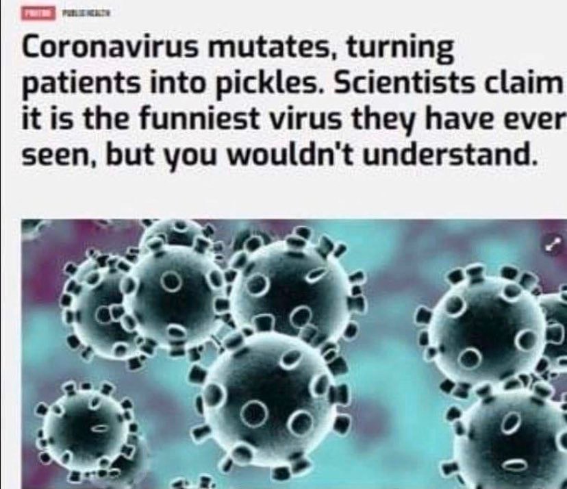 Coronavirus mutates, turning patients into pickles. Scientists claim it is the funniest virus they have ever seen, but you wouldn't understand. А