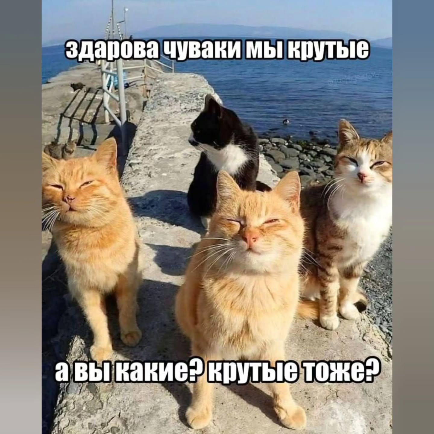 у здарова чуваки мы крутые 1 7 a у