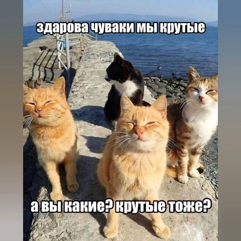 у здарова чуваки мы крутые 1 7 a у