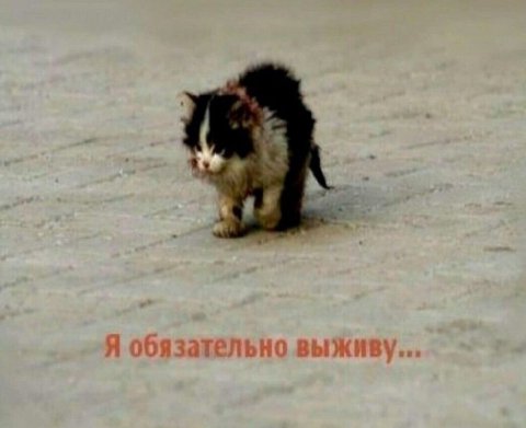 4 1 у О woe А» 6 i у a 2