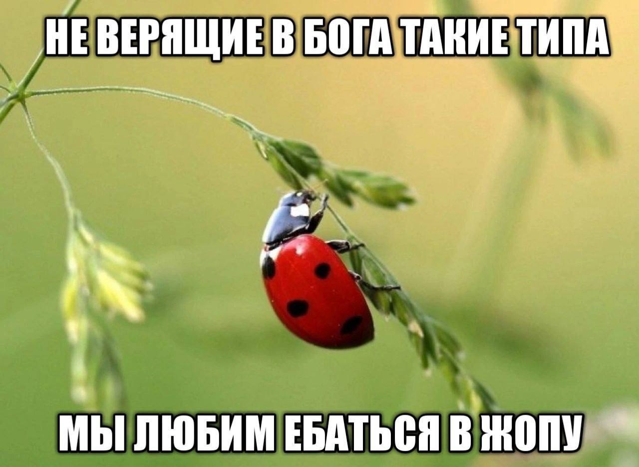 В БОГА TARME ТИПА МЫ ЛЮБИМ ЕБАТЬСЯ В ЖОПУ